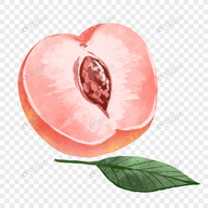 WWW,se705·COM网站APPAPP应用